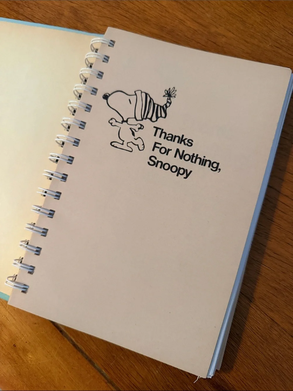Vintage Snoopy Peanuts Comic Notebook